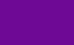 RGB color : 6e0995, gif 