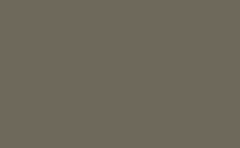 RGB color : 6e695b, gif 