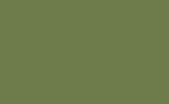 RGB farbe : 6e7c4c, gif 