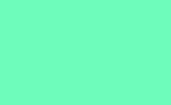 RGB color : 6efcbb, gif 