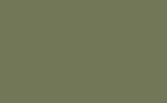 RGB color: 727758, gif 