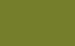 RGB color : 757e2b, gif 