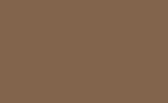 RGB color: 82644b, gif 