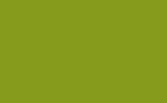 RGB color: 869a1b, gif 