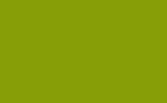 RGB color : 879e07, gif 