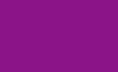 RGB couleur: 8b1486, gif 