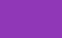 RGB color : 8f38b6, gif 