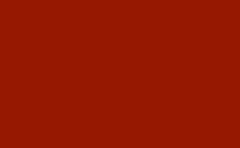 RGB color: 971800, gif 