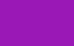 RGB color: 9a18b5, gif 