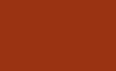 RGB color: 9a3312, gif 