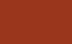 RGB color: 9a361c, gif 