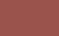 RGB color: 9a534c, gif 