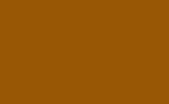 RGB color: 9a5703, gif 