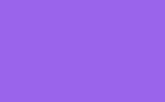 RGB color: 9a64eb, gif 