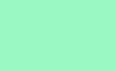 RGB color: 9af8c2, gif 