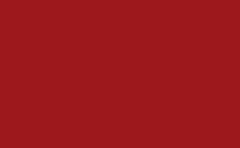 RGB color: 9d181c, gif 