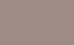 RGB color : 9e8b86, gif 