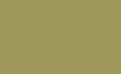 RGB color : 9e995a, gif 