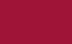 RGB color: 9f1437, gif 