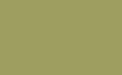 RGB color : 9f9e5f, gif 