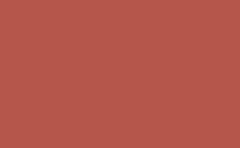 RGB color: b5564b, gif 