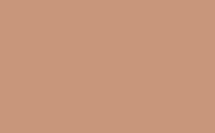 RGB farbe: c8967b, gif 