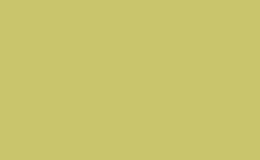 RGB farbe: c8c56d, gif 