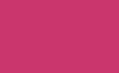 RGB color: ca366d, gif 