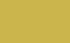 RGB color: cbb54c, gif 