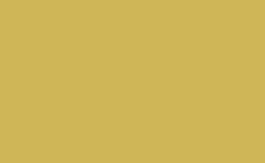 RGB color: cfb657, gif 