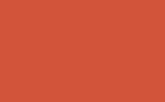 RGB color: d2543a, gif 