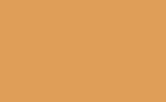 RGB color: df9e58, gif 