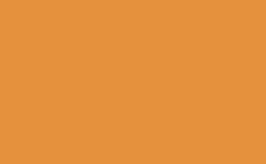 RGB farbe: e5913d, gif 