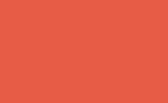 RGB farbe : e75c46, gif 