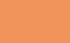 RGB color: f1945b, gif 