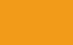 RGB farbe: f29b19, gif 