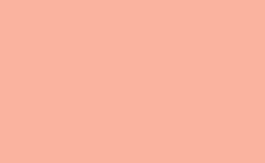 RGB color: fab49d, gif 