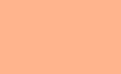 RGB color: ffb48d, gif 