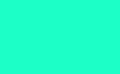 RGB farbe: 1cffc7, jpg 