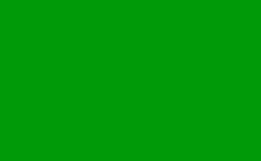 RGB farbe: 009a07, png 