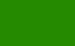 RGB farbe: 258a00, png 