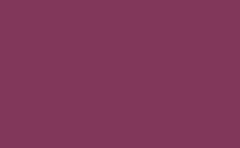 RGB farbe: 81375a, png 