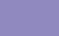 RGB color: 9089bf, png 