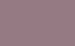 RGB farbe : 957a83, png 