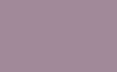 RGB farbe: a08898, png 