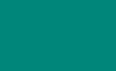 RGB couleur: 00867a, gif 