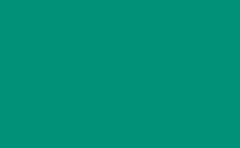 RGB farbe: 009077, gif 