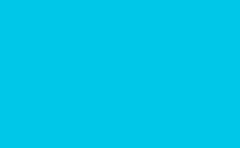 RGB farbe: 00c7e8, gif 