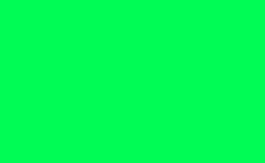 RGB farbe: 00fc55, gif 