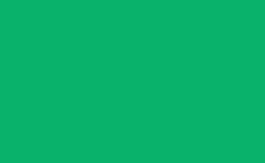 RGB color : 09b26b, gif 